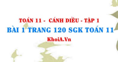 Bài 1 trang 120 SGK Toán 11 tập 1 Cánh Diều